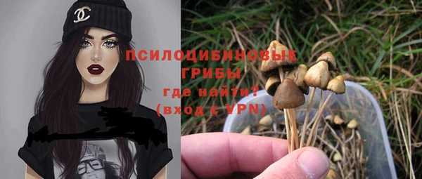 ГАЛЛЮЦИНОГЕННЫЕ ГРИБЫ Абаза