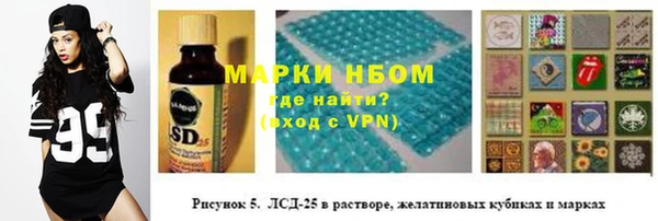 ГАЛЛЮЦИНОГЕННЫЕ ГРИБЫ Абаза