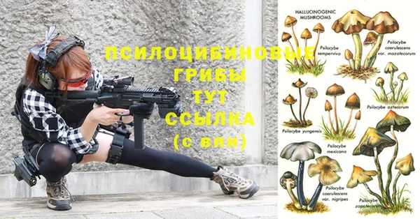 ГАЛЛЮЦИНОГЕННЫЕ ГРИБЫ Абаза