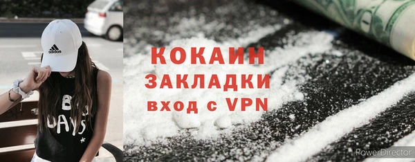 ГАЛЛЮЦИНОГЕННЫЕ ГРИБЫ Абаза