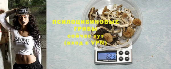 ГАЛЛЮЦИНОГЕННЫЕ ГРИБЫ Абаза
