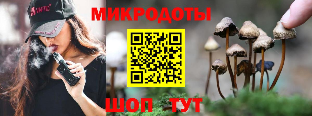 Псилоцибиновые грибы мухоморы  Псилоцибиновые грибы ЛСД  наркота  Усть-Кут  Вход с VPN 